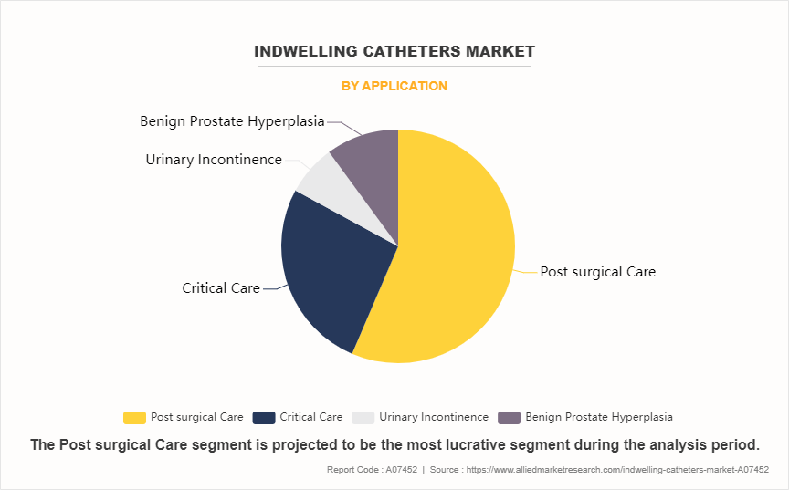 Indwelling Catheters Market by Application