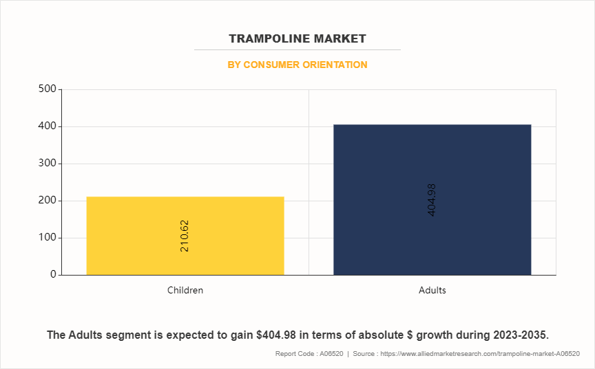 Trampoline Market by Consumer Orientation