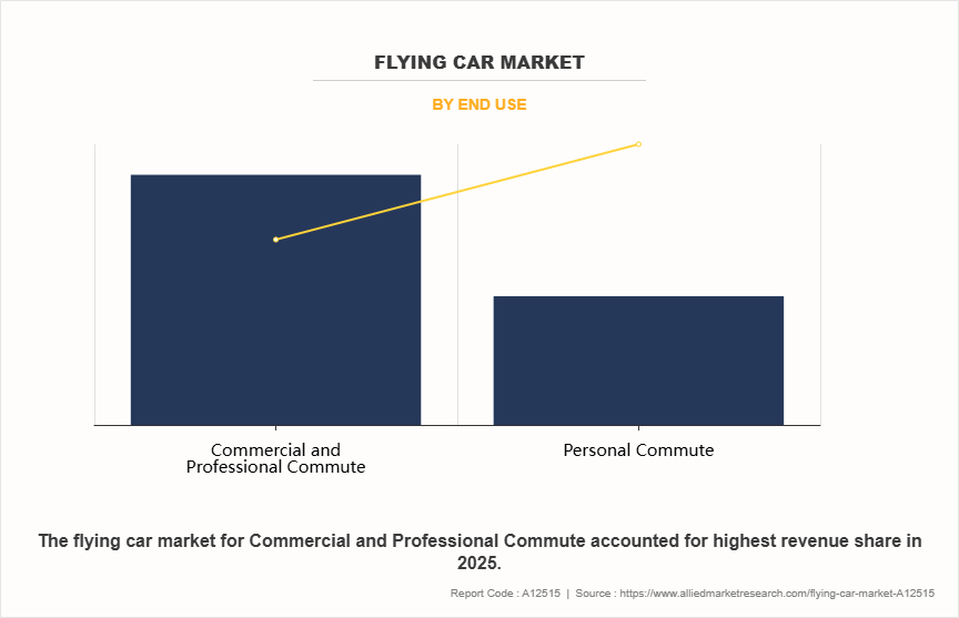 Flying Car Market by End Use