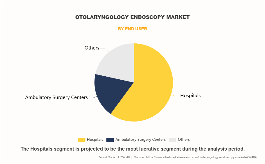 Otolaryngology Endoscopy Market by End User