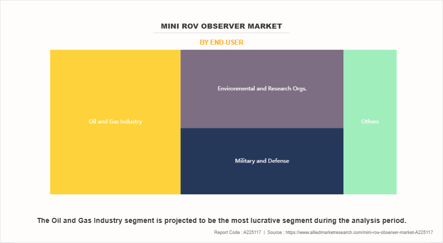 Mini ROV Observer Market by End-User