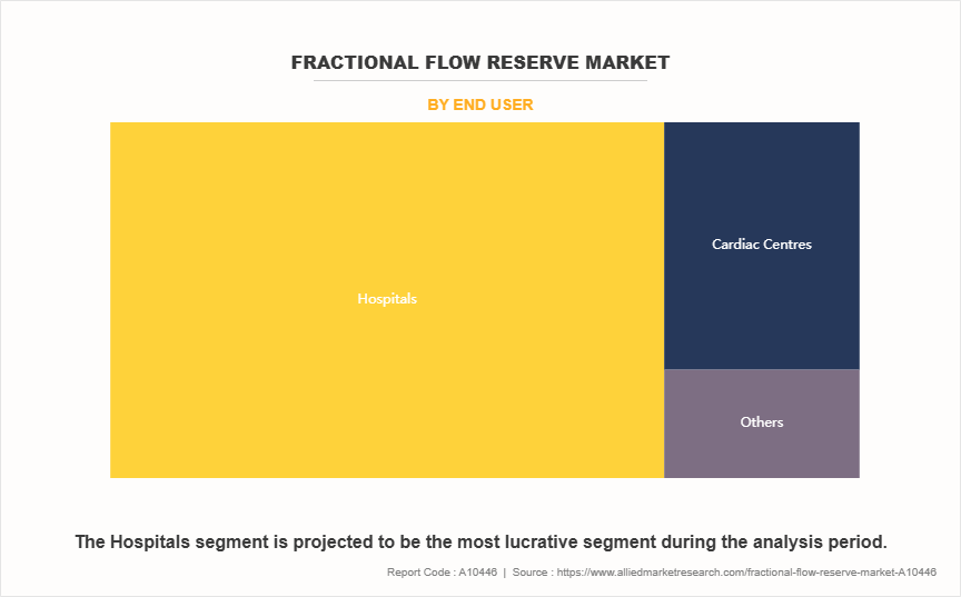 Fractional Flow Reserve Market by End User