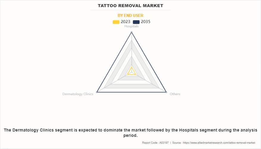 Tattoo Removal Market by End User