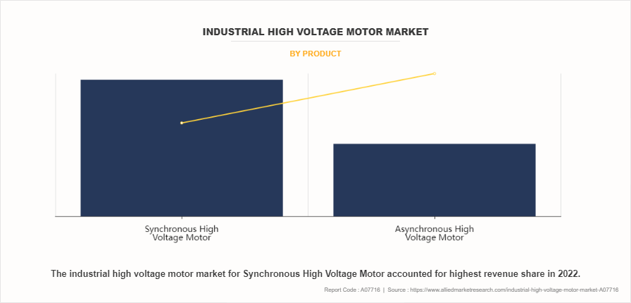 Industrial High Voltage Motor Market by Product