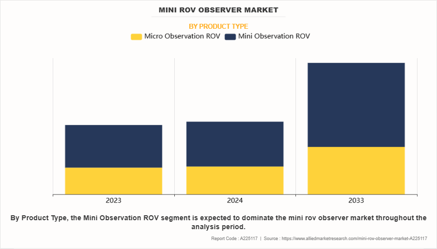 Mini ROV Observer Market by Product Type