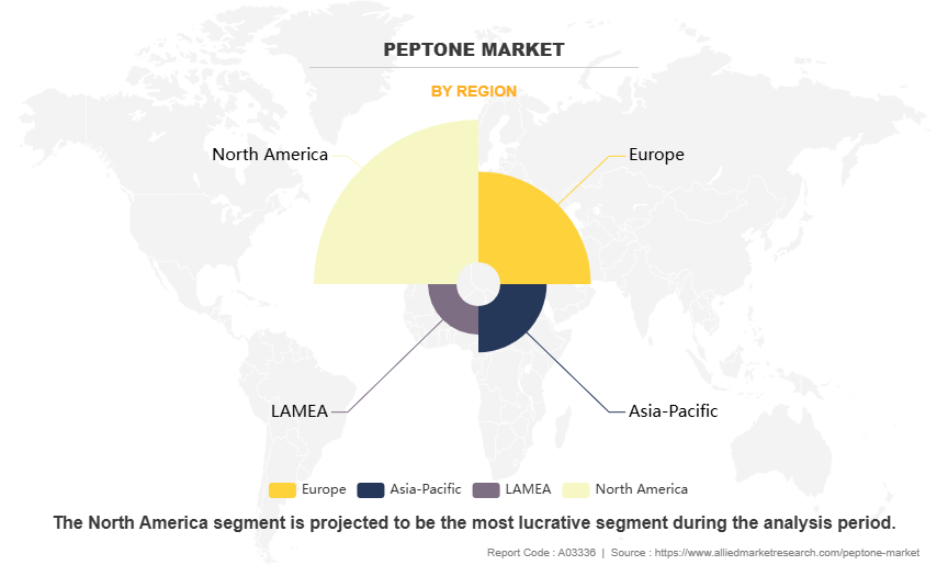 Peptone Market by Region