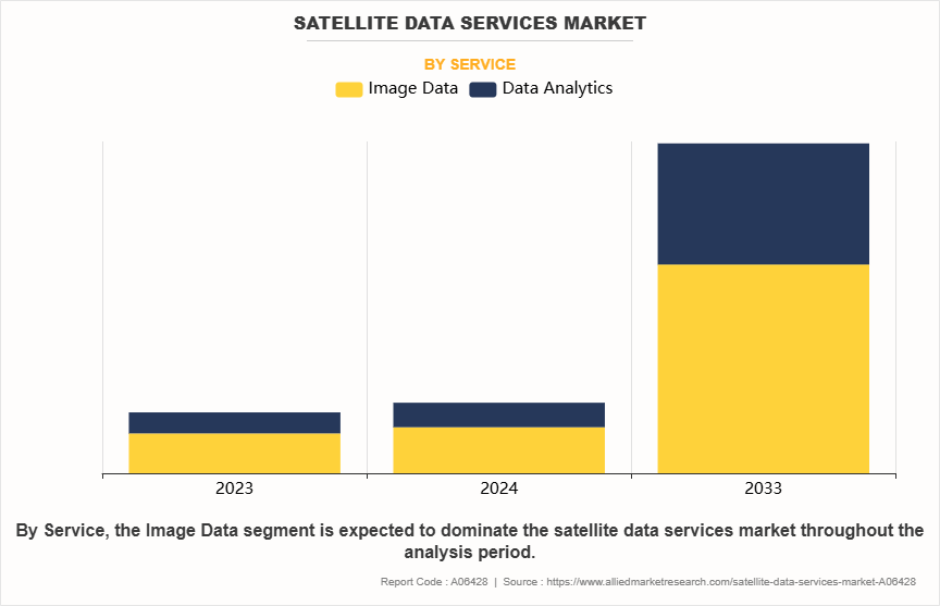 Satellite Data Services Market by Service