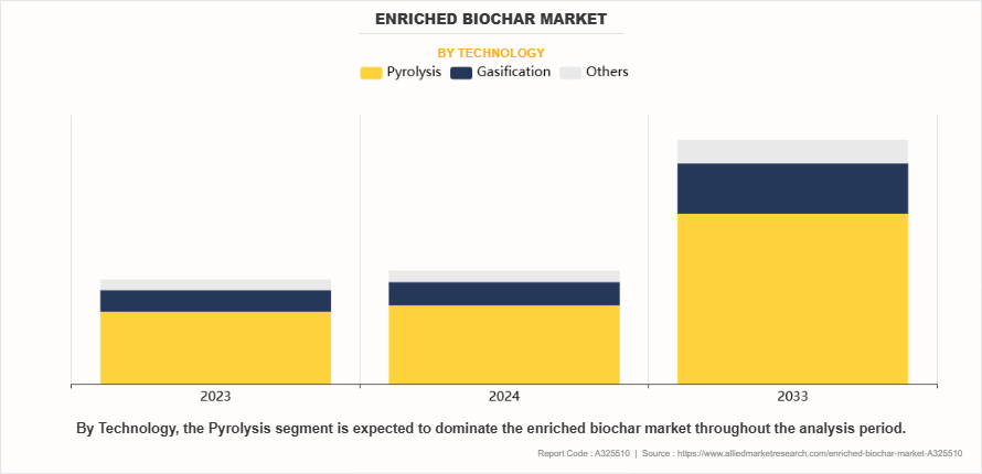 Enriched Biochar Market by Technology