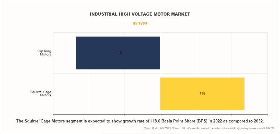Industrial High Voltage Motor Market by Type