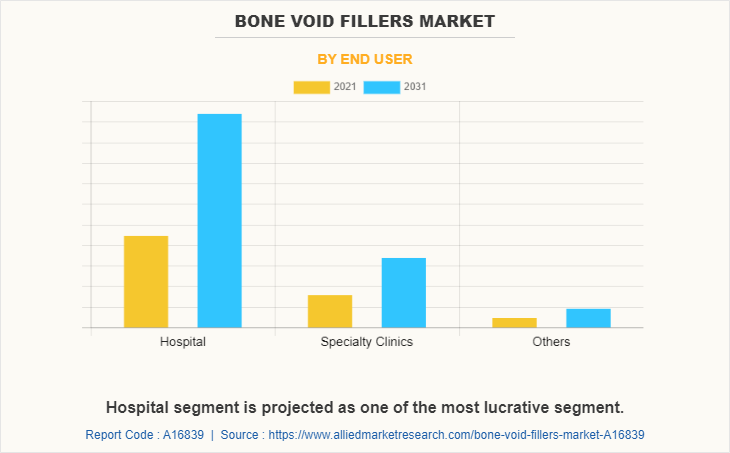 Bone Void Fillers Market by End User
