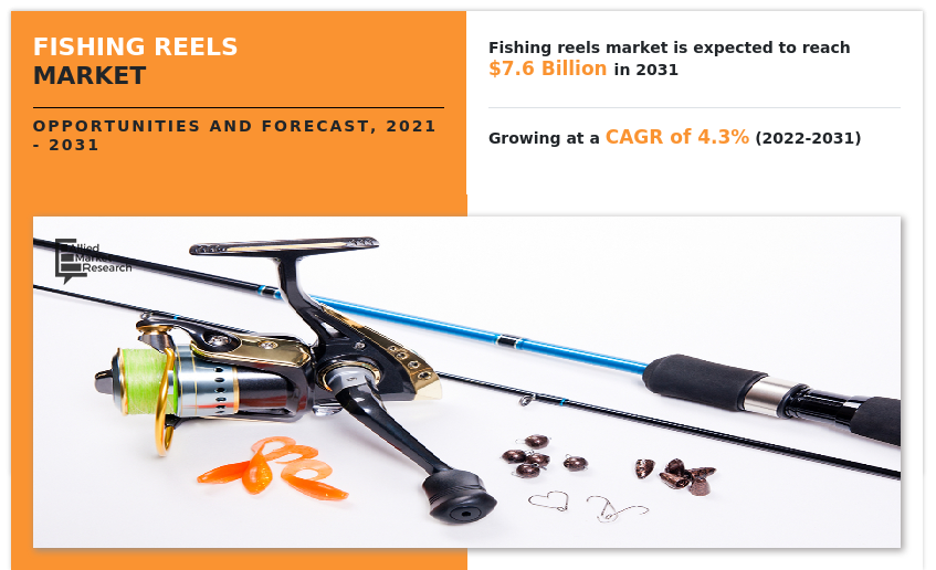 Conventional Reels  Fishing Tackle – PENN® EU