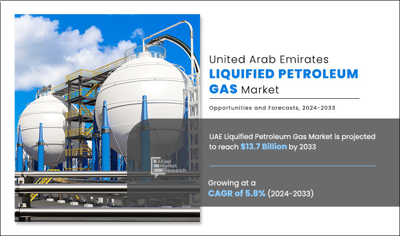 UAE Liquified Petroleum Gas Market Infographics