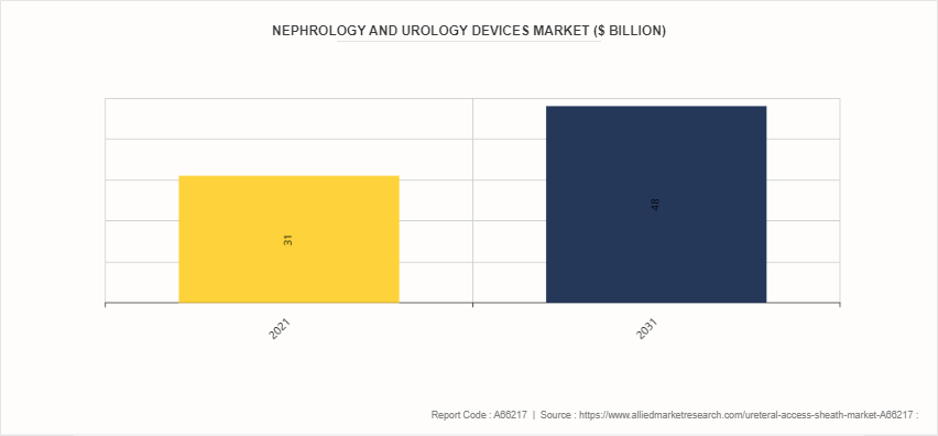 Ureteral Access Sheath Market by 