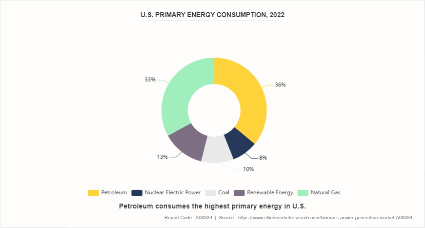 Biomass Power Generation Market by 