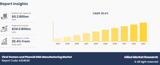 Viral Vectors and Plasmid DNA Manufacturing Market  by Vector Type 